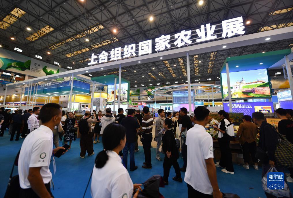 254俄罗斯最线路
